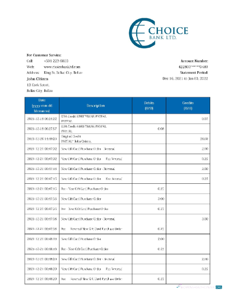 Download Belize Choice bank statement word